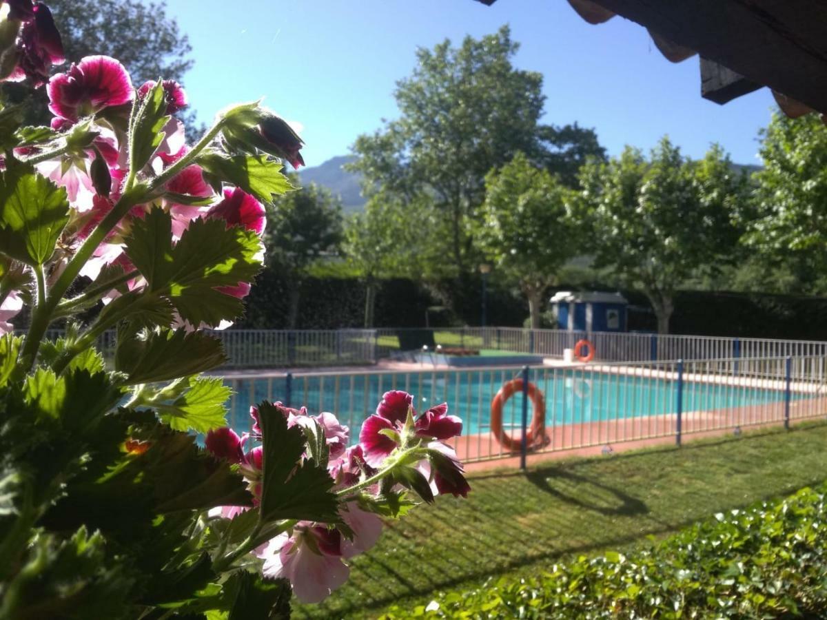Camping El Pinajarro Hervas Bagian luar foto